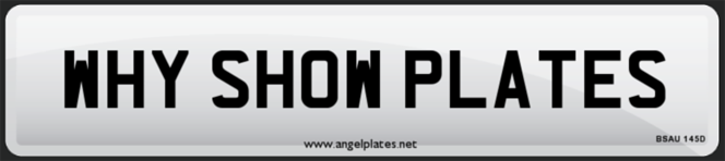 Acrylic Show Plates